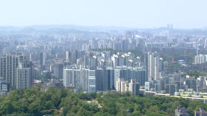 [D리] 일시적 2주택 광범위하게 허용한다