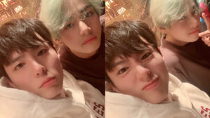 Park Bo Gum, V