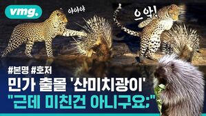 민가 출몰 '산미치광이 "근데 미친건 아니구요;"