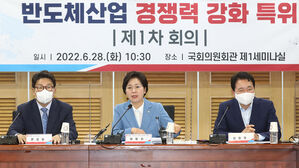 발언하는 양향자 위원장 (사진=국회사진기자단, 연합뉴스)
