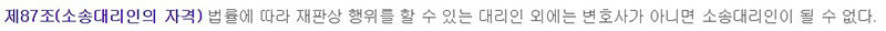 변호사들의 소송대리를 규정한 민사소송법 87조 / 김용철 취파용