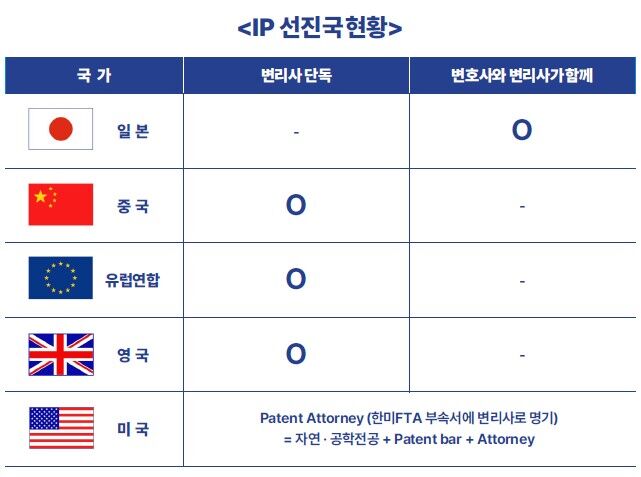 선진국의 변리사 특허침해소송대리 허용 현황 / 김용철 취파용