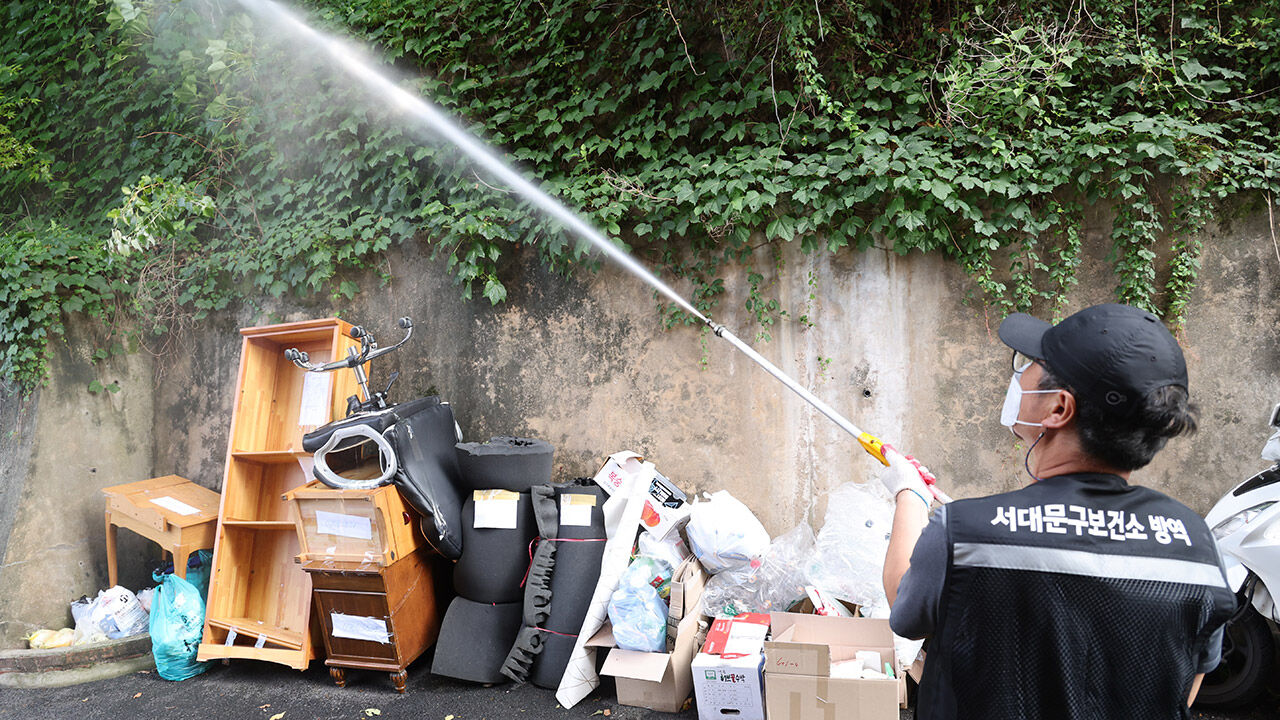 러브버그 방역 작업 (사진=연합뉴스)