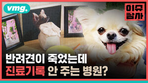 반려견이 죽었는데 진료기록 안 주는 병원?
