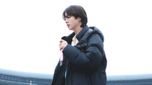 BTS JIN