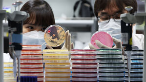 "같은 음식 먹고 2명 이상 설사하면 보건소에 신고하세요"