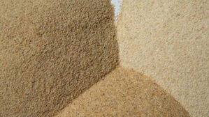 中, 펠로시 방문한 타이완에 경제 보복…일부 품목 수출입 중단