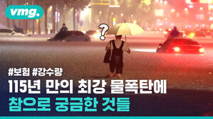 115년 만의 최강 물폭탄에 참으로 궁금한 것들