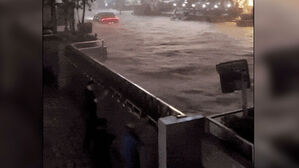 [실시간 e뉴스] '침수' 강남서 홀로 멀쩡&hellip;물샐틈없는 방수문 화제