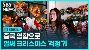 중국 영향으로 벌써 크리스마스 걱정 D리포트 섬네일