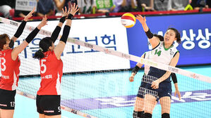 현대건설, 컵대회 준결승 진출&hellip;페퍼저축은행은 3전 전패