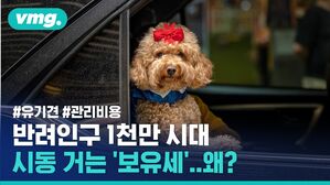 반려인구 1천만 시대, 시동거는 '보유세'.. 왜?