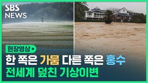 한 쪽은 가뭄 다른 쪽은 홍수 전세계 덮친 기상이변