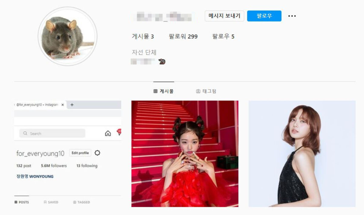 Is IVE WONYOUNG's Instagram Hacked? the Hacker Names BLACKPINK's LISA as the Next Target