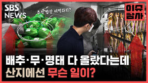 SBS 이슈 추석 밥상 어떡하지 NEWS 담사 더. 명태 다 올랐다는데 산지에선 무슨 일이