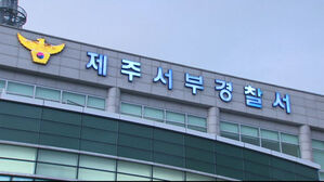 길고양이 중성화 사진 '복붙'해 보조금 빼돌린 동물병원장