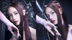 DREAMeR, BLACKPINK