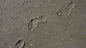 발자국 발걸음 (사진=픽사베이)