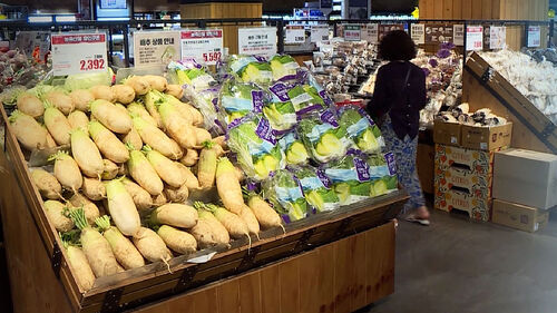 위기의 민생경제