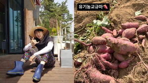 [SBS Star] Jay Park Helps Farmers Harvest Sweet Potatoes on His Day-off