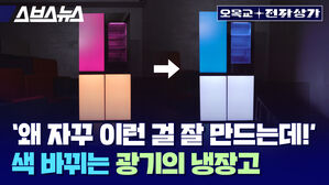 실시간으로 문짝 색 변한다는 최신형 냉장고, 전기요금은 얼마나 나올까?  [오목교 전자상가]