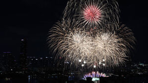 [포토] 하늘 수놓은 불꽃…지친 일상 위로하는 아름다움