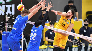 남자배구 KB손해보험, 우리카드 꺾고 3연승 질주&hellip;니콜라 32점