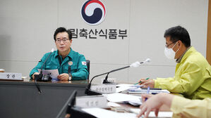 청주 · 순창서 AI 잇따라 확진…올가을 산란계 농장 첫 사례