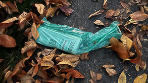 인잇 김지나 칼럼 '신문 배달'