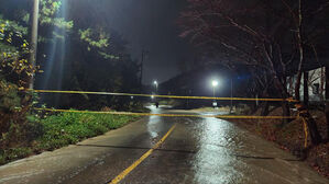 울진 북면 243㎜…초겨울 집중호우에 경북 곳곳 도로 · 둑 유실