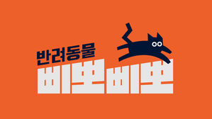 [토요 스프] 당신의 반려동물을 위해 5분만 투자하세요