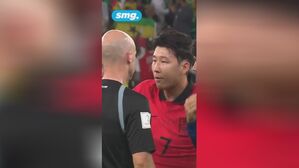 테일러 심판