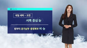 [날씨] 수도권&middot;충청 '눈'&hellip;동해안 '건조경보', 화재 유의