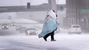 북반구 휩쓰는 한파&hellip;폭염 &middot; 혹한 오가는 극단 기후 생태계 위협