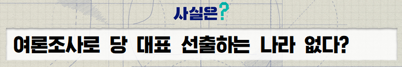 사실은 국민의힘 당대표 선거 여론조사