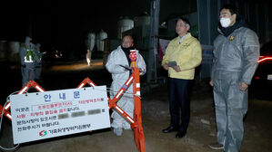 고양 산란계 농장서 고병원성 조류인플루엔자 확진