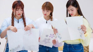 한지 홍보 영상 출연한 뉴진스..SNS에 중국 누리꾼들 '비판'