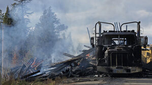브라질 연구소 "작년 하루 평균 축구장 3천 개 면적 아마존 파괴"