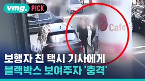 보행자 친 택시 기사에게 블랙박스 보여주자 '충격