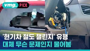 '현기차 절도 챌린지' 유행? 대체 무슨 문제인지 물어봄