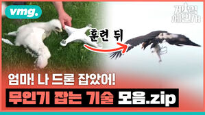 vmg. 게임 체인서 훈련 뒤 엄마! 나 드론 잡았어! 무인기 잡는 기술 모음.zip