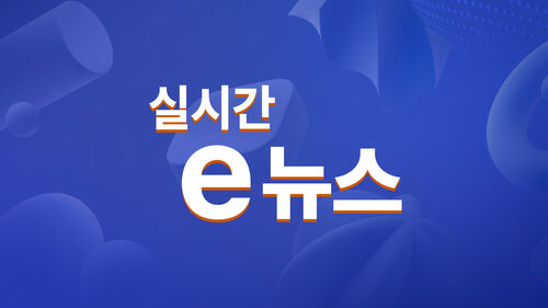 실시간 e뉴스