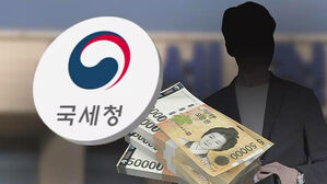 집값 뛰자 '꼼수 증여' 봇물&hellip;세무조사 추징액 4년 만에 10배↑