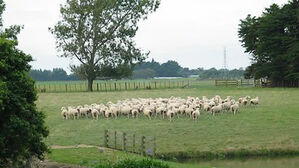 "핵전쟁으로 종말 위기 닥쳐도 견뎌낼 나라는 호주 &middot; 뉴질랜드"