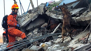 [현장] 전기·물 다 끊겼다…한국 구호대도 고군분투
