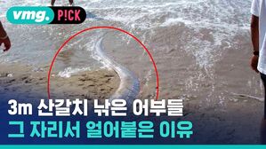 vmg. P!CK  3m 산갈치 낚은 어부들 그 자리서 얼어붙은 이유