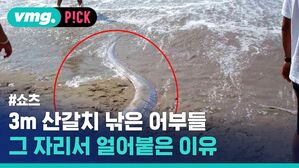vmg. P!CK #쇼츠 3m 산갈치 낚은 어부들 그 자리서 얼어붙은 이유