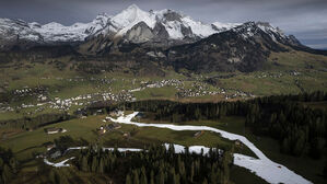 겨울 알프스에 설원 대신 선인장 무성