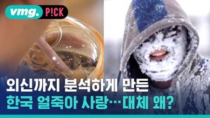 외신까지 분석하게 만든 한국 얼죽아 사랑 대체 왜