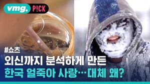 외신까지 분석하게 만든 한국 얼죽아 사랑 대체 왜